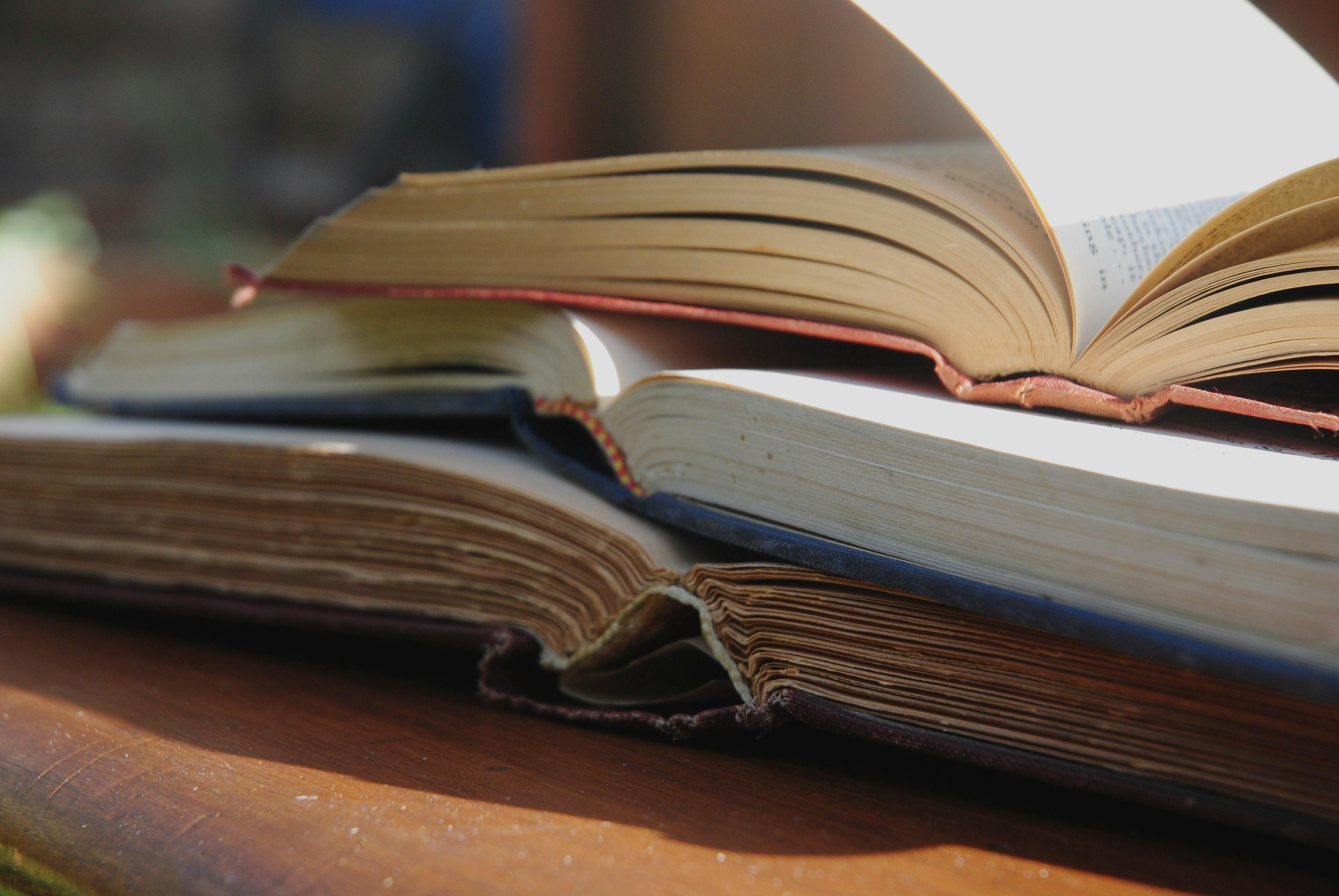 Two well-worn books lying open on a wooden table, bathed in natural sunlight.